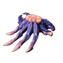 Crab Meat