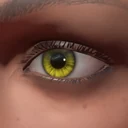 Gelbe Augen