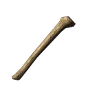Bones