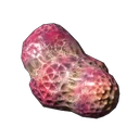 Spinndrüse