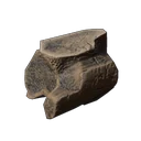 Fossilized Bone