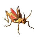 Grasshopper