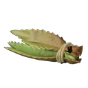 Aloe