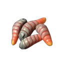 Maggots