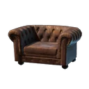 Low Elegant Armchair