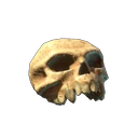 Decorative Skull I