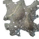 Spinnennetz IV