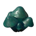 Azure-Russula-Setzling