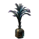 Large Grandleaf Cabbage Plant Pot