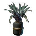 Small Aurora Beans Plant Pot