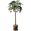 Passionsblumen-Pflanze