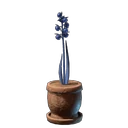 Dämmerbeer-Blume