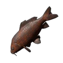 Grilled Lakehopper