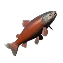 Crimsonback