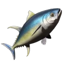 Yellowfin