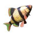 Shimmerfin