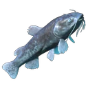 Shockfin