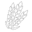 Grain Product