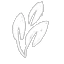 Herb