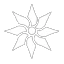 Night Plant