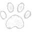 Paw's Touch