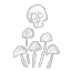 Fell Curse
