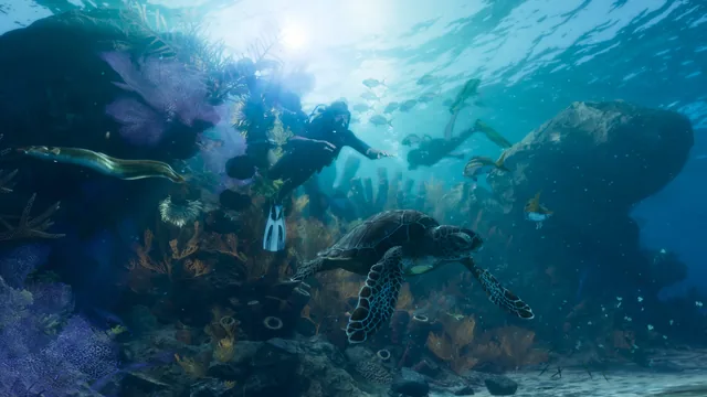 Two scuba divers among coral, fish and a sea turtle