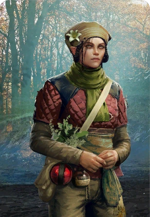 Havekar Healer
