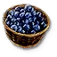 Blaubeeren
