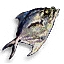 Fisch