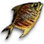 Trockenfisch
