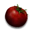 Tomate