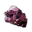Zaunrübe