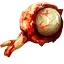 Erynienauge