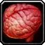 Gorishi Queen Brain