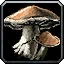 Lunarfungus