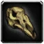 Gnawed Horse Skull